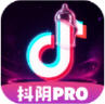 TikTok成年版